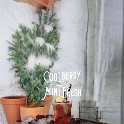 Coolberry Mınt Fresh (KÜÇÜK)